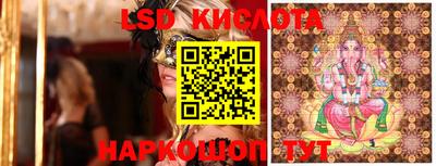 гашик Лесосибирск