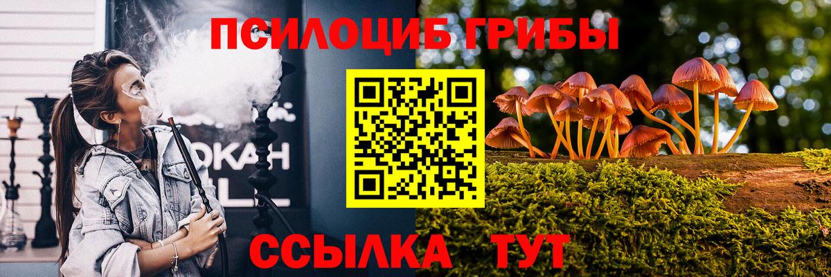 Чита  Псилоцибиновые грибы Magic Shrooms  Вход с VPN 